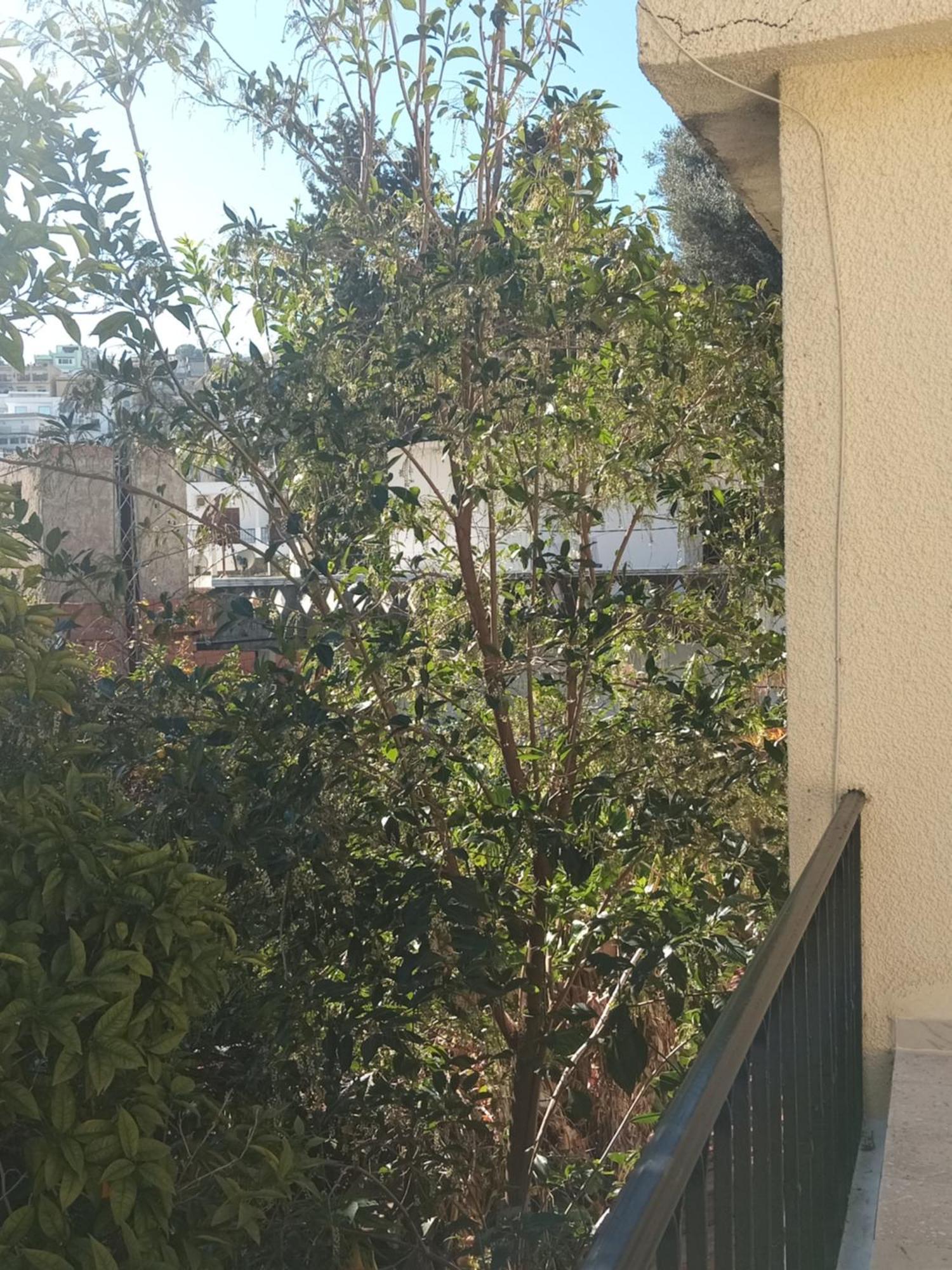 טבארקה Maison De Vacances מראה חיצוני תמונה