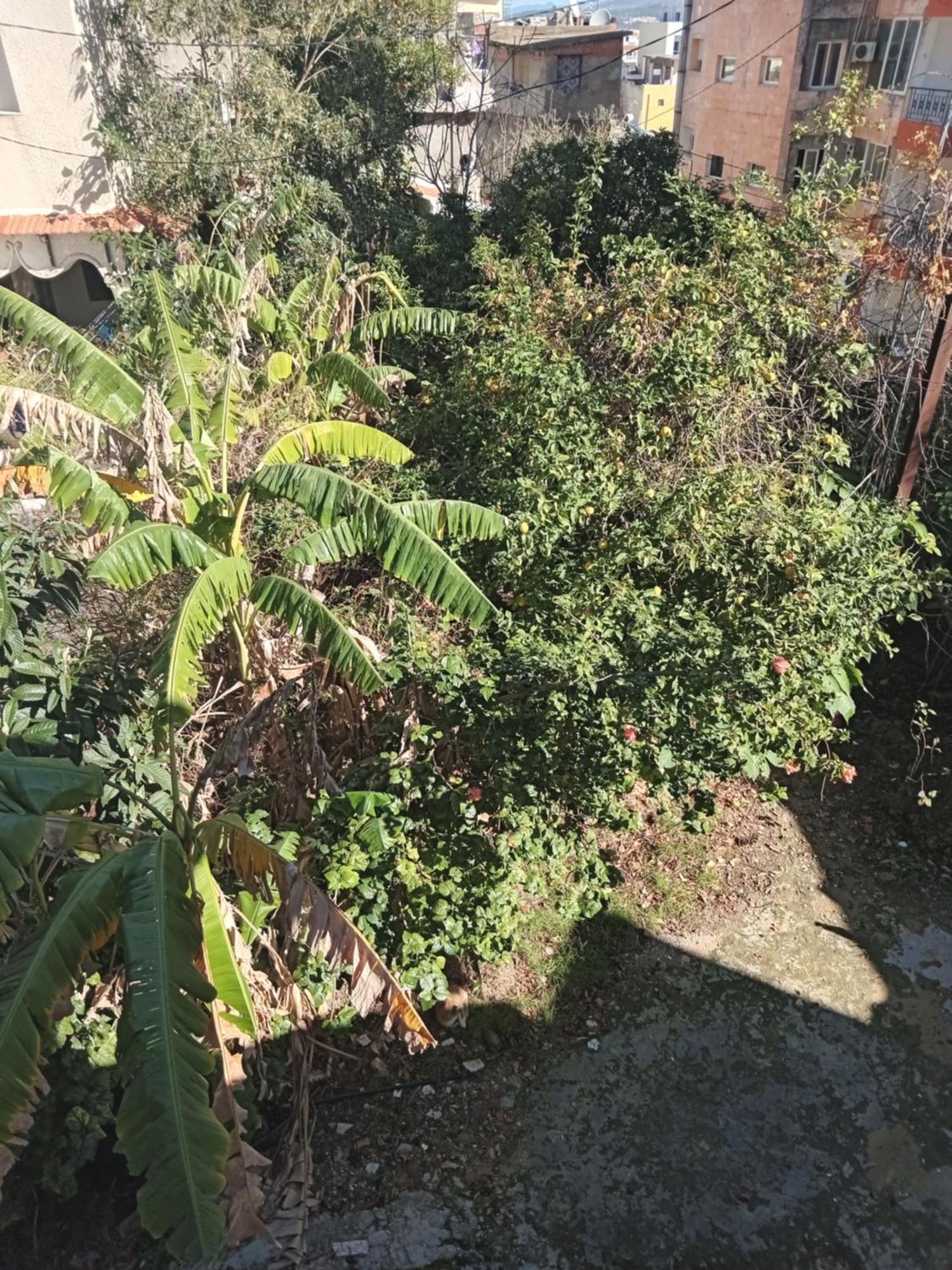 טבארקה Maison De Vacances מראה חיצוני תמונה